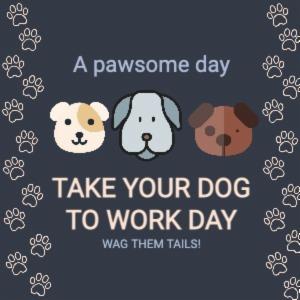 A pawsome day