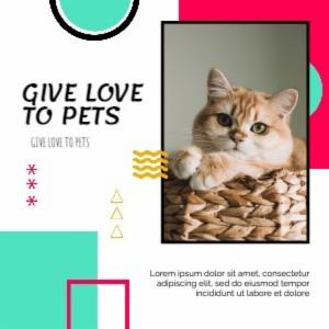 GIVE LOVE TO PETS