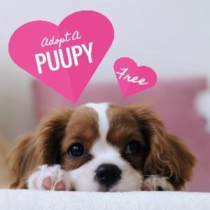 Adopt A PUUPY Free