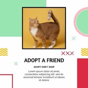 ADOPT A FRIEND